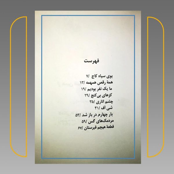 قطعه هیچم قبرستان - تصویر 4